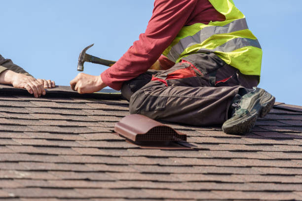 Best Roof Repair Services  in Forest, OH