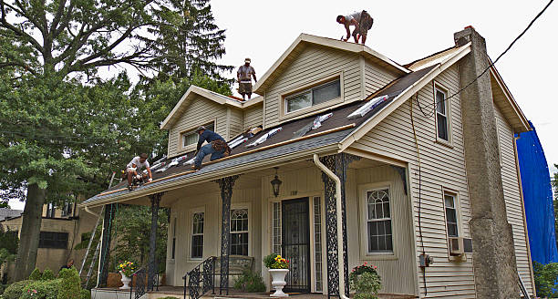 Best Roof Waterproofing Services  in Forest, OH