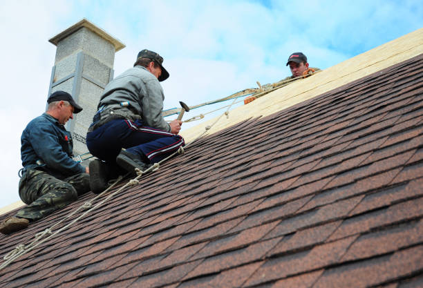Best Roof Gutter Cleaning  in Forest, OH